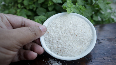 车前草壳上一个白色的小塑料锅俯视图