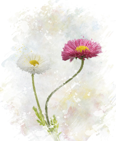 春花水彩