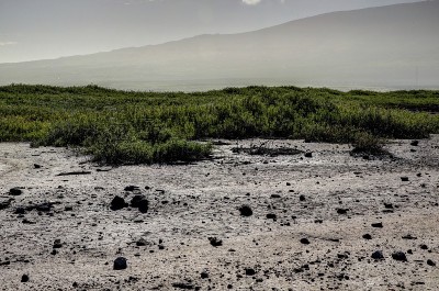 夏威夷毛伊岛基黑海滩的景色