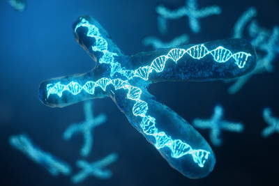 3D插图x染色体与携带遗传密码的DNA。遗传学概念，医学概念。未来,基因突变。在生物层面改变遗传密码