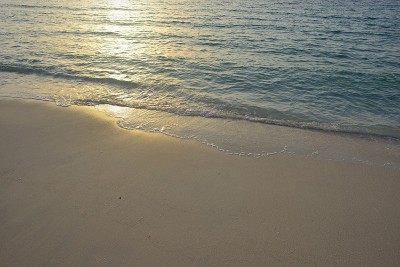 海岸线