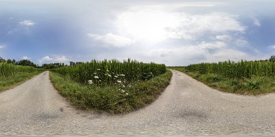 360度圆形景观玉米田