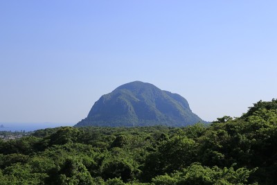 森林，森林，小径，步道，原始森林，