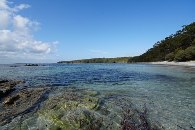 在杰维斯湾被淹没的岩石和清澈的海水