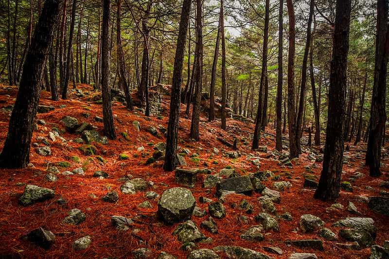 卡迪亚达(卡迪亚达)古城遗址视图，靠近Uzumlu村，Fethiye，土耳其穆格拉。公元前5世纪罗马