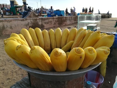 玉米煮