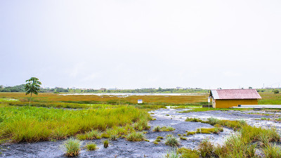 沥青湖景观