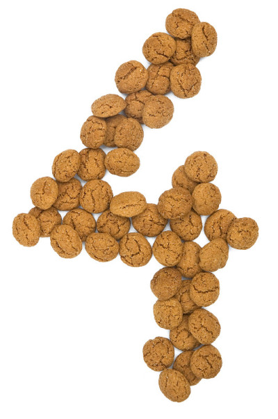 gingernut4