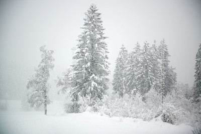 降雪
