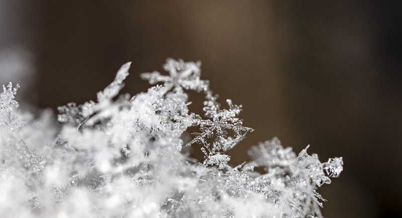 天然雪花上的雪花。这幅画是在10摄氏度的温度下制作的