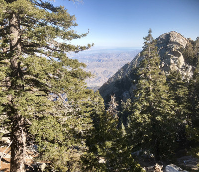 山