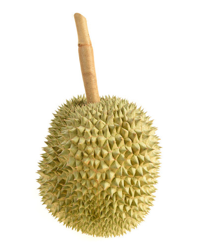 榴莲果