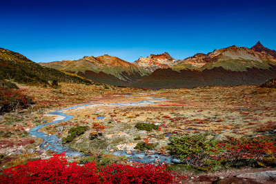 阿根廷巴塔哥尼亚火地岛国家公园的奇幻童话森林全景