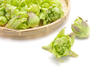 蜂斗菜