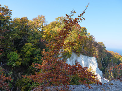 鲁根岛