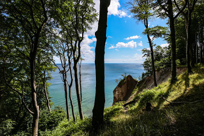美丽的海岸Rügen，德国，白色的白垩悬崖