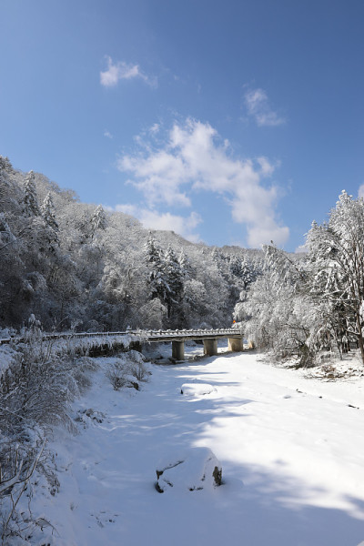 美丽的冬天的风景。雪山、树木和桥景(韩国江原道御田山国家公园)