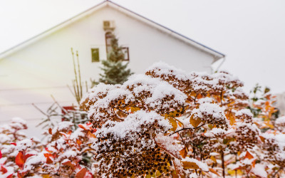 第一场雪。