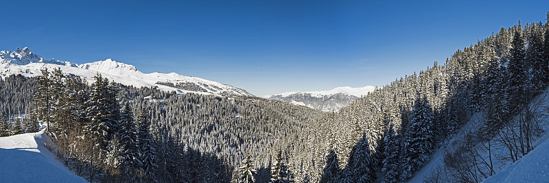 全景下的雪覆盖山谷在高山山脉与针叶松树