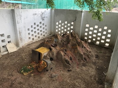 蛇室