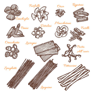 矢量素描图标的意大利面种类