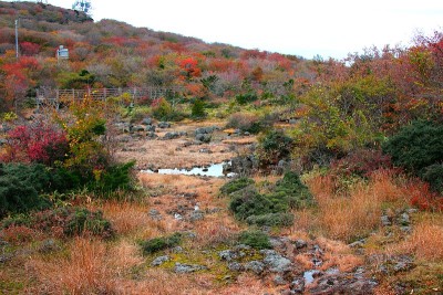 1100高地湿地，拉姆萨湿地，红叶湿地，