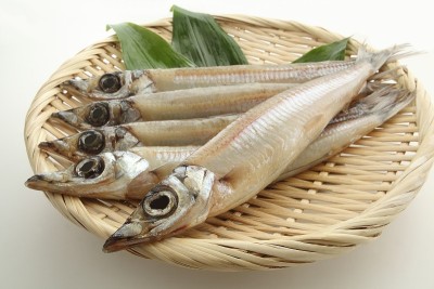滤锅上的鱼干、砂蛀虫