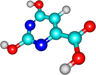 乳清酸分子结构