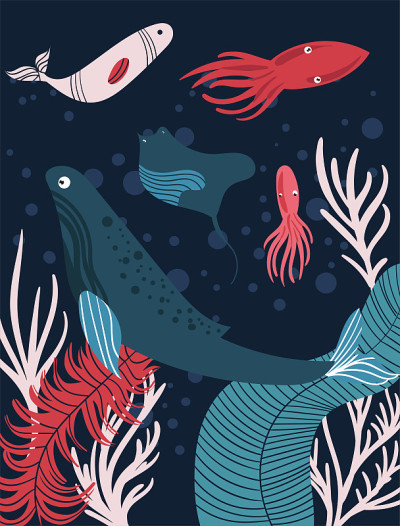 海底世界的居民