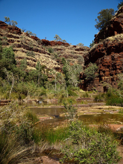 Dale峡谷，Karijini国家公园在澳大利亚西部