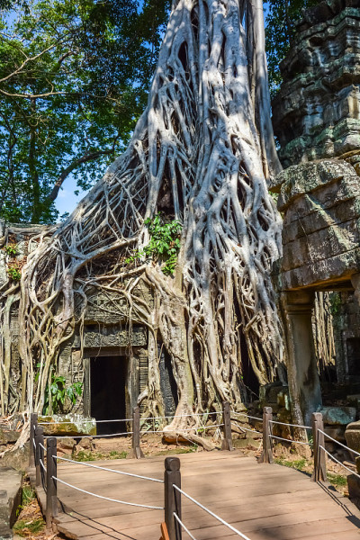 柬埔寨暹粒的塔普罗姆寺