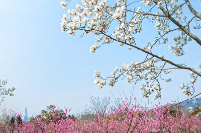 早春公园