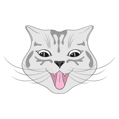 可爱快乐的猫卡通。快乐的猫,情感。猫的微笑。人物，有趣的猫的脸，头，灰色的口鼻。动物，儿童设计，人像
