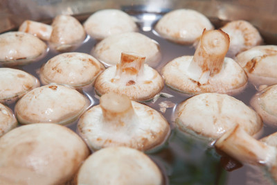生蘑菇水