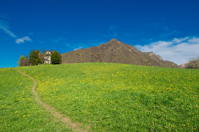 山