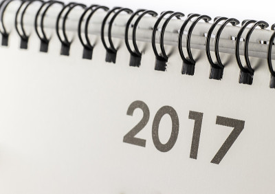 2017年春节用语。