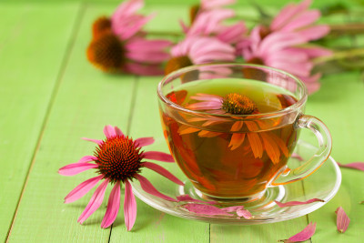 绿色木桌上放着一杯紫锥菊茶