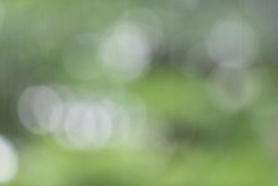 天然绿色散景，抽象背景。