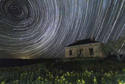 Reggies Startrail