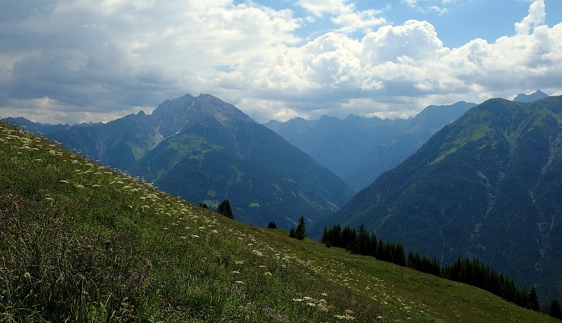 美丽的高山景观与绿色的草地，高山别墅和山峰，莱希塔尔，奥地利