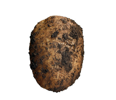 土豆孤立