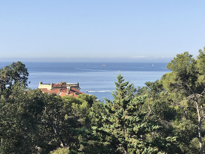 美丽的地中海景色在Hyères。