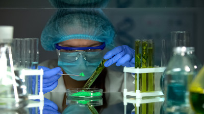 生物学家将绿色粉末与植物提取物在试管中进行比较，研究