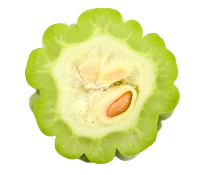 苦瓜片