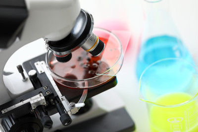生物材料在培养皿中放置在显微镜下