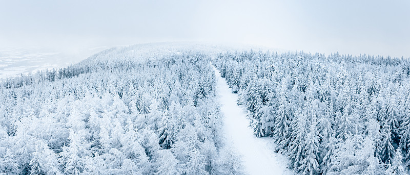 白雪覆盖的森林里有一条徒步小径，苏台德的冬季风景。