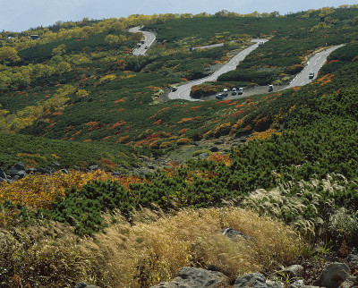山路