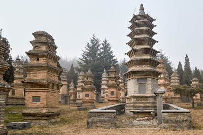 中国少林寺的宝塔森林