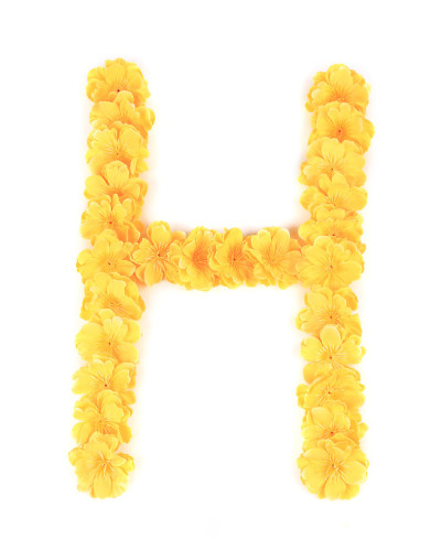 字母H花字母表。