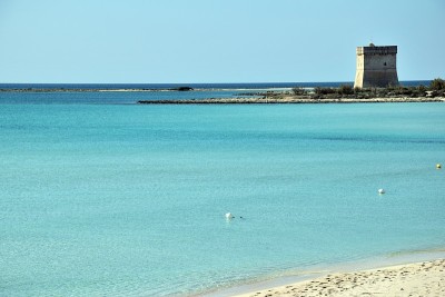 在实验的海滩上